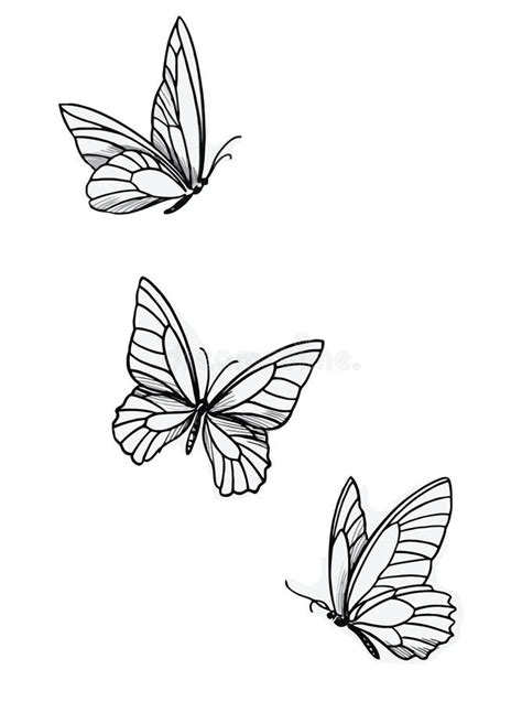 Butterfly Drawing Outline Aesthetic, Vector Unique Pattern, Sketch Line Art Stock Vector ...