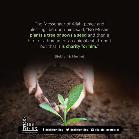 Even planting a tree is charity (Hadith Bukhari Muslim) - English | Ummat-e-Nabi.com