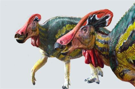 A new species of crested dinosaur has been identified in Mexico | SYFY WIRE