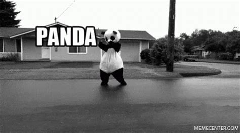 Panda Dance GIF - Panda Dance DancingOnTheStreet - Discover & Share GIFs