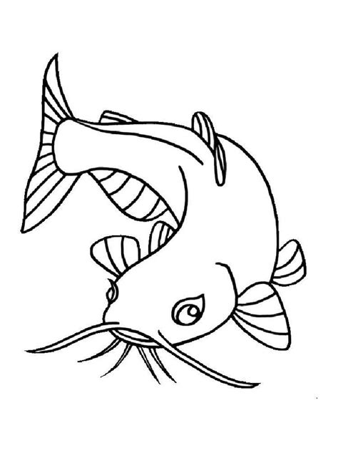 Catfish coloring pages | Fish coloring page, Coloring pages, Dinosaur ...