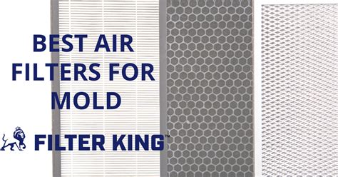 Best Air Filters for Mold and Air Purification [2021]