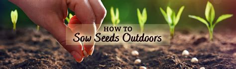 How to Sow Seeds Outdoors - HEBERT'S GARDEN CENTER