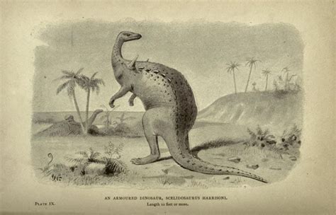 What Was The First Dinosaur Found On Earth - The Earth Images Revimage.Org