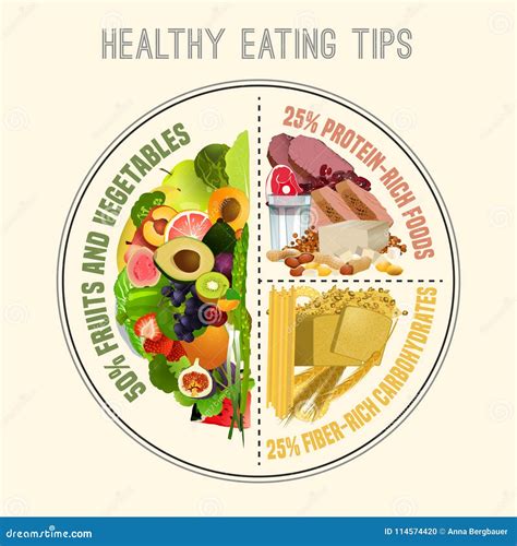 Healthy Eating Plate stock vector. Illustration of education - 114574420