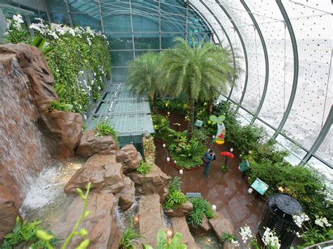 Singapore Changi Airport Photos - Business Insider