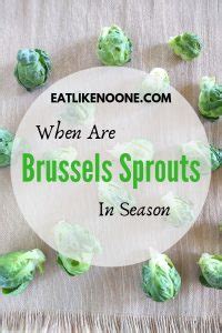 When are Brussels Sprouts in Season? - Eat Like No One Else