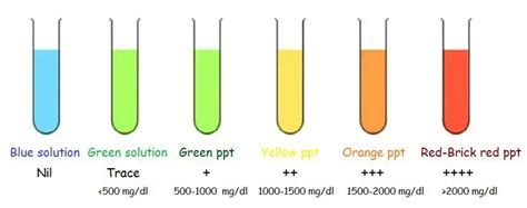 Benedict's Test : Principle, Reagent Preparation, Procedure and ...