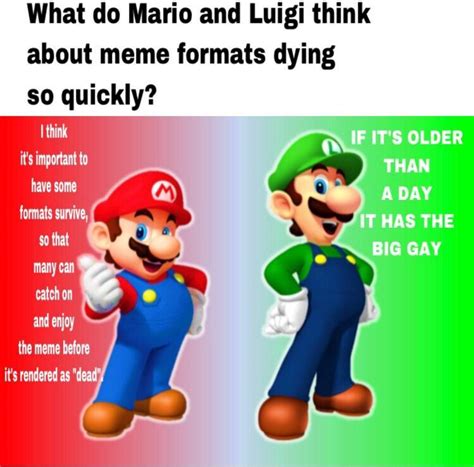 meme formats | Mario Bros. Views / Mario Says | Know Your Meme