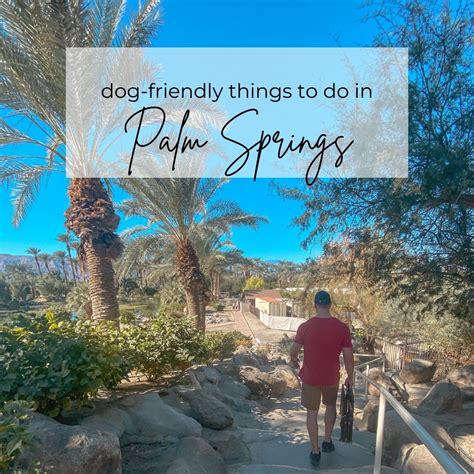 Dog-friendly Things to Do in Palm Springs – Dorworth Adventures