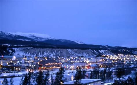 20 Things to do in Whitehorse | Winter images, Winter garden, Big easy