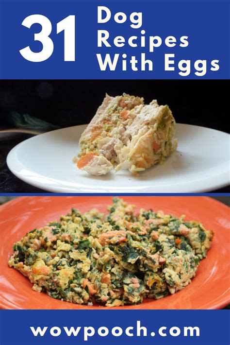 31 Dog Food Recipes With Eggs - WowPooch | Vegetarian dog food recipe ...