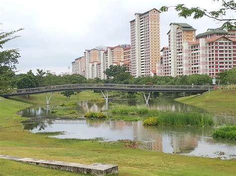 Bishan-Ang Mo Kio Park | Things to do in Bishan, Singapore