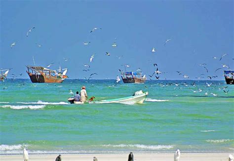 Oman claims Duqm is 'most promising' tourism hub - Hotelier Middle East