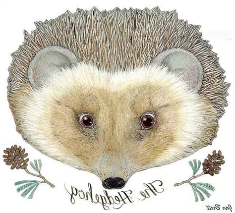 The Mitten Transfers Hedgehog | Woodland animals party, Coloring pages winter, Hedgehog craft