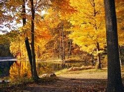 Temperate Deciduous Forest - Biomes of Canada