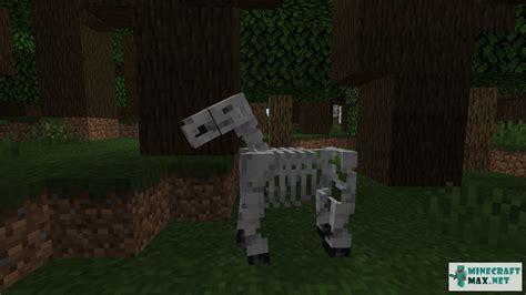 Skeleton Horse | How to craft skeleton horse in Minecraft | Minecraft Wiki