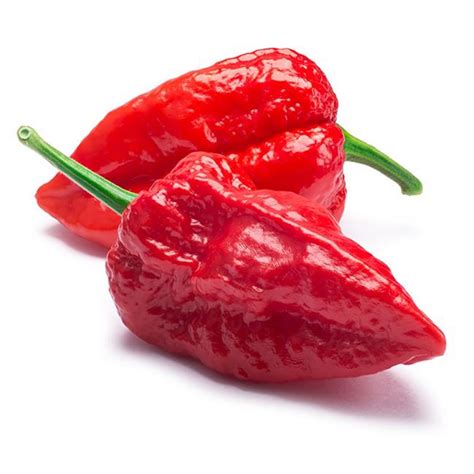 Ghost Pepper Powder (Bhut Jolokia) – Plain – Uncle Z's Spice