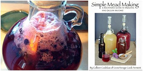 Simple Mead Making: A Beginner's Guide to One Gallon Batches