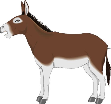 Download High Quality donkey clipart brown Transparent PNG Images - Art Prim clip arts 2019