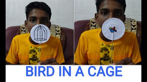 BIRD IN A CAGE || PERSISTENCE OF VISION || OPTICAL ILLUSION || HOW TO MAKE A BIRD IN A CAGE ...