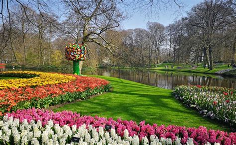 How to Experience Keukenhof: The Garden of Europe - Tassie Devil Abroad