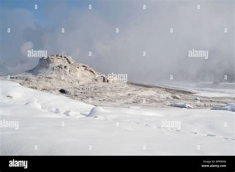 USA, Wyoming. Yellowstone National Park, Upper Geyser Basin, Old ...