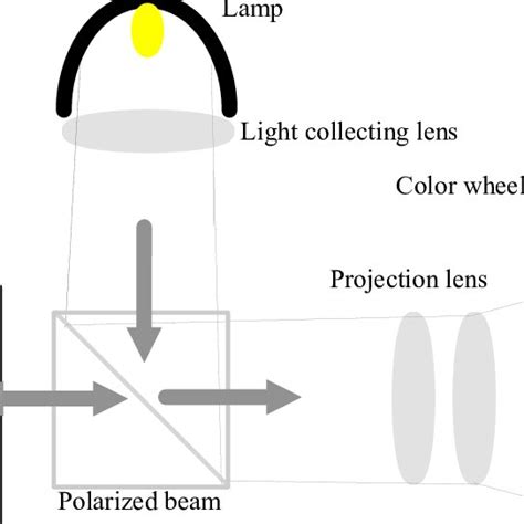 Size and shape of the human field-of view (FOV), shown for the left eye ...