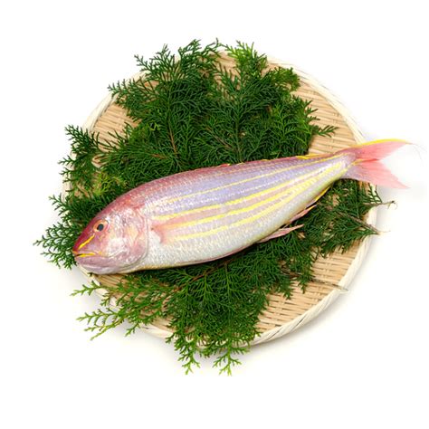 Buy Fresh Local Wild-Caught Sultan Ibrahim Online| FreshCatch