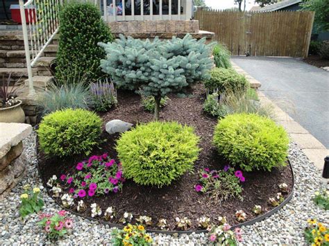 How to use landscaping shrubs for garden beautification? | Landscape Design