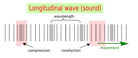 What is the difference between the transverse waves and the longitudinal waves | Science online