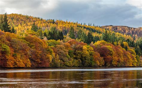 Autumn in Perthshire, Scotland [OC][2000x1247] : r/EarthPorn