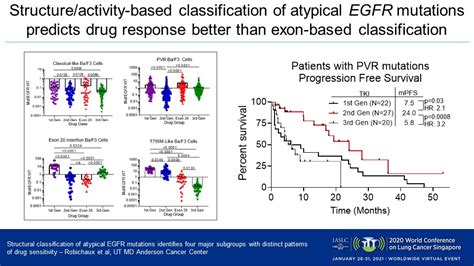 Deeper Understanding of EGFR Mutation Subgroups Will Further Personalize Treatment for NSCLC ...