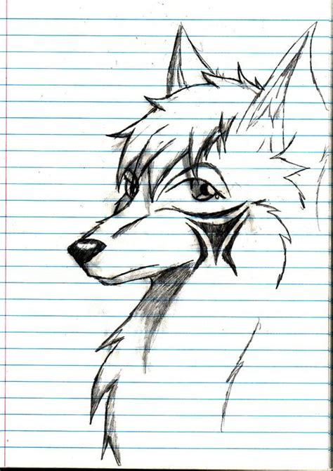 Anime wolf | Wolf sketch, Anime wolf, Wolf eye drawing