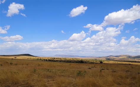 File:Maasai-Mara-Typical-Scenery.JPG - Wikimedia Commons