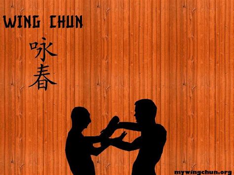 Wing Chun Wallpapers - Wallpaper Cave