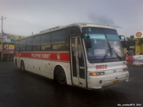 Philippine Rabbit Bus Lines 9503 | late trip... Bus No: 9503… | Flickr