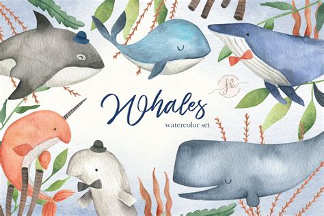 Whales Watercolor Clipart | Watercolor whale, Whale, Watercolor clipart