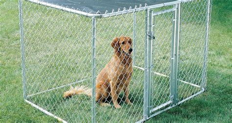 Chain Link Dog Fence Offers a Safety Comfortable Place for Your Pet Dog