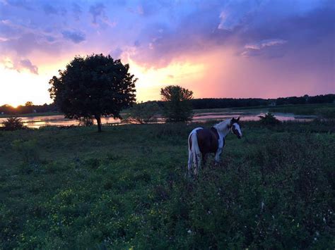 farm-horse-sunset – David Horsager