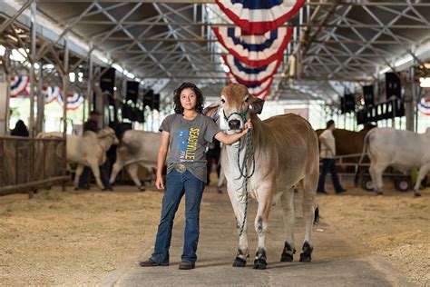 18_btcom_media_1080x720_livestock > State Fair of Texas