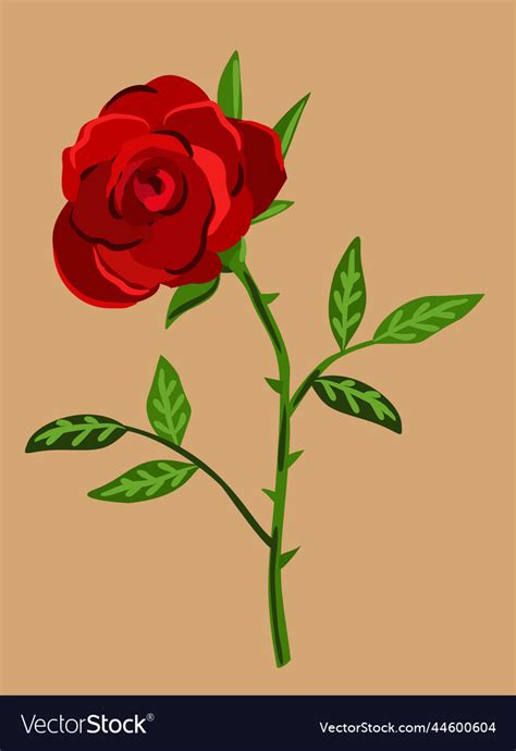 Red rose Royalty Free Vector Image - VectorStock