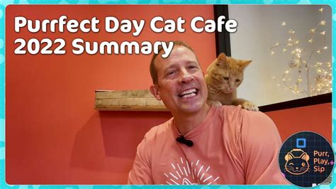 Purrfect Day Cat Cafe: Summary of Year 2022 - YouTube