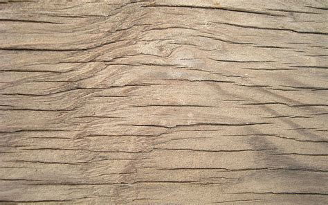 Download wallpapers light wooden texture, macro, wooden backgrounds, wooden textures, light ...