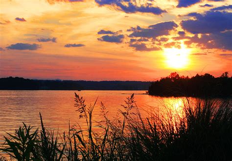 Tall Grass Sunset Smith Mountain Lake Photograph by The James Roney ...