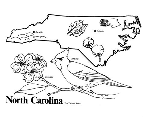 North Carolina State Flag Coloring Page