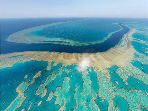 Australia’s Great Barrier Reef Will 'Disappear' Within Two Decades With No Intervention ...