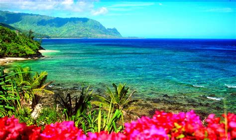 🔥 Download Hawaii Beach Desktop Background Zoom Wallpaper by @heidijones | Hawaii Backgrounds ...