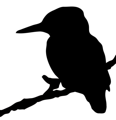 Kingfisher Bird Silhouette Clipart Free Stock Photo - Public Domain Pictures