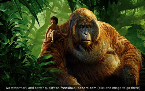 Mowgli King Louie Jungle Book wallpaper | King louie jungle book, Jungle book 2016, King louie